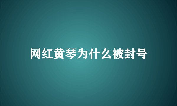 网红黄琴为什么被封号