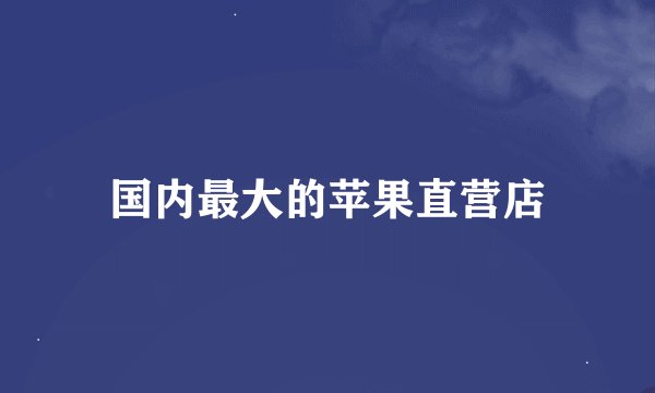 国内最大的苹果直营店
