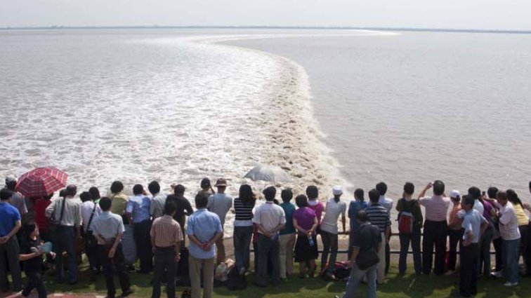 观潮的相关资料是什么呢？