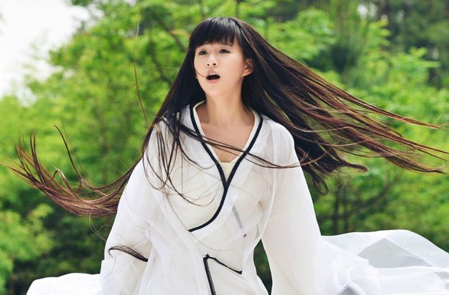 小彩旗春晚转圈是哪一年