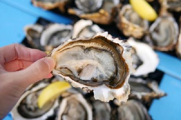 为什么象拔蚌，生蚝，鲍鱼都很像人类器官？