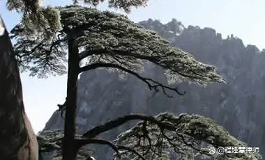 黄山四绝指的是哪四个