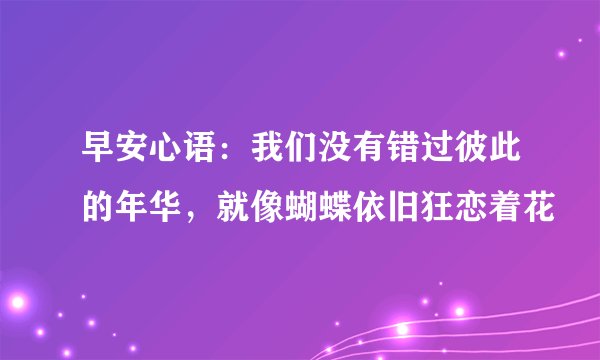 早安心语：我们没有错过彼此的年华，就像蝴蝶依旧狂恋着花