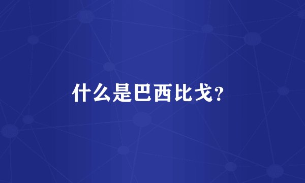 什么是巴西比戈？