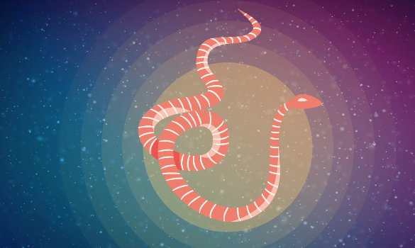 梦到各种颜色的蛇是什么预兆梦见各种颜色的蛇的蛇的吉凶