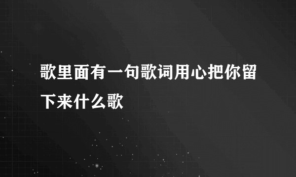 歌里面有一句歌词用心把你留下来什么歌