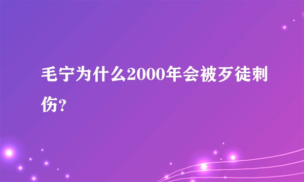 毛宁为什么2000年会被歹徒刺伤？