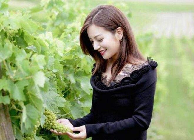 赵薇得过什么奖