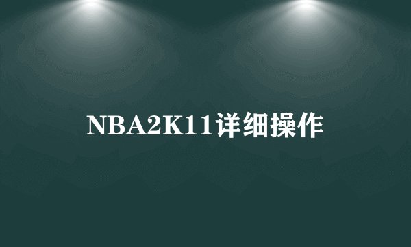 NBA2K11详细操作