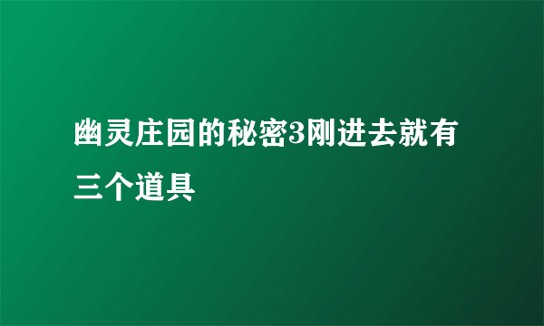 幽灵庄园的秘密3刚进去就有三个道具