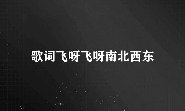歌词飞呀飞呀南北西东