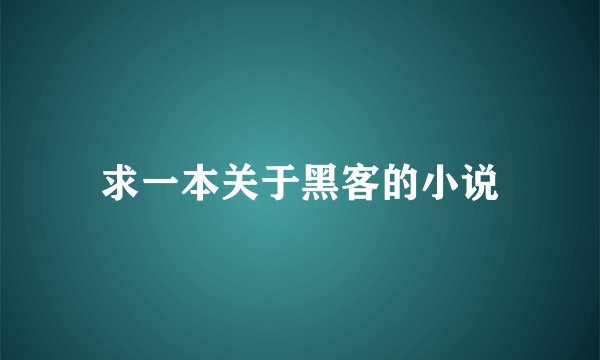 求一本关于黑客的小说