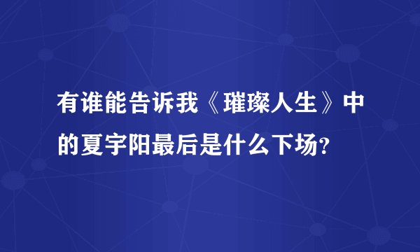 有谁能告诉我《璀璨人生》中的夏宇阳最后是什么下场？