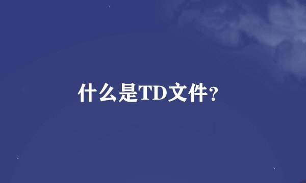 什么是TD文件？