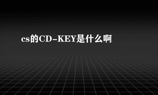 cs的CD-KEY是什么啊