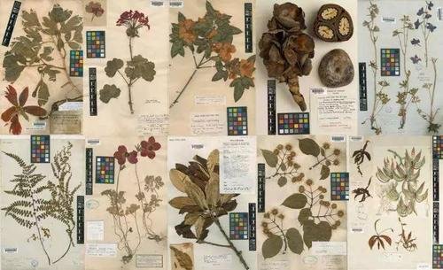 bb是什么意思呢?