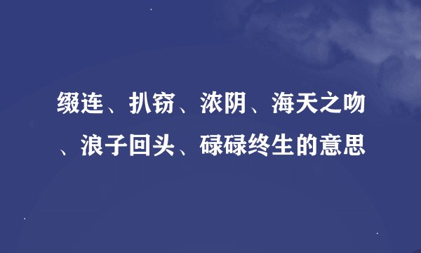 缀连、扒窃、浓阴、海天之吻、浪子回头、碌碌终生的意思