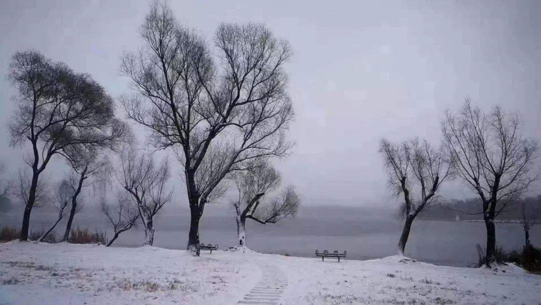 杭州又下雪了,为何今年的南方的雪要比北方的多?