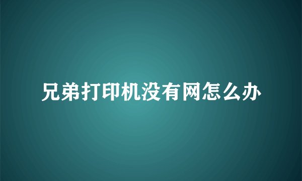 兄弟打印机没有网怎么办