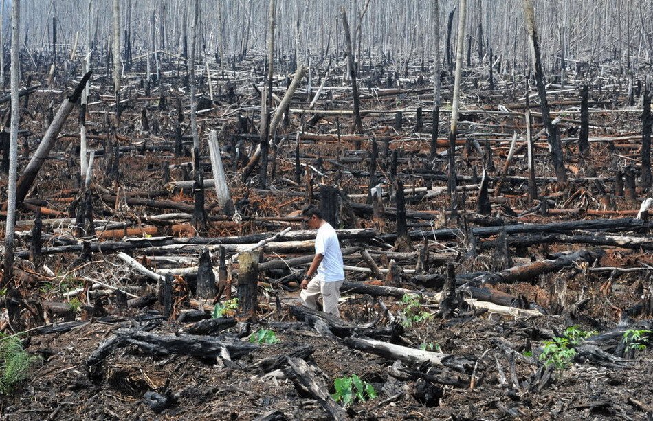 鄱阳湖预计发生流域性大洪水，流域性洪水和洪水有何区别？