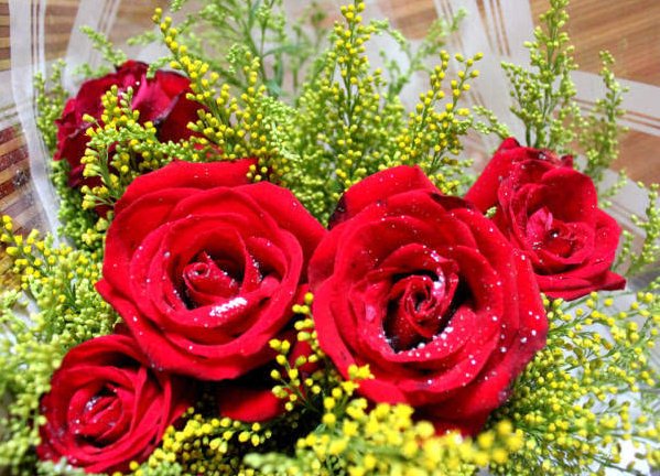 8朵玫瑰花代表什么意思