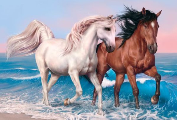 树大根深什么生肖