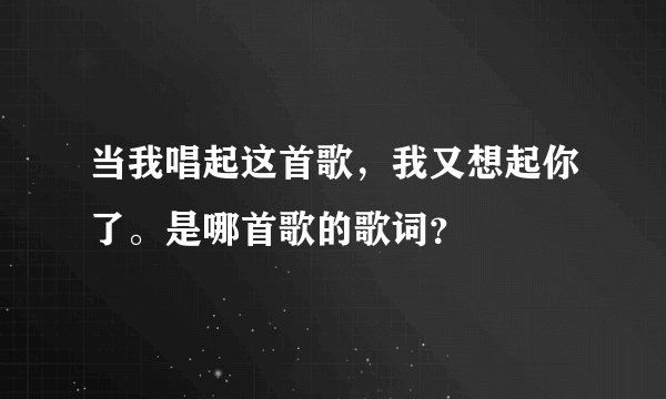 当我唱起这首歌，我又想起你了。是哪首歌的歌词？