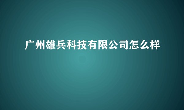 广州雄兵科技有限公司怎么样