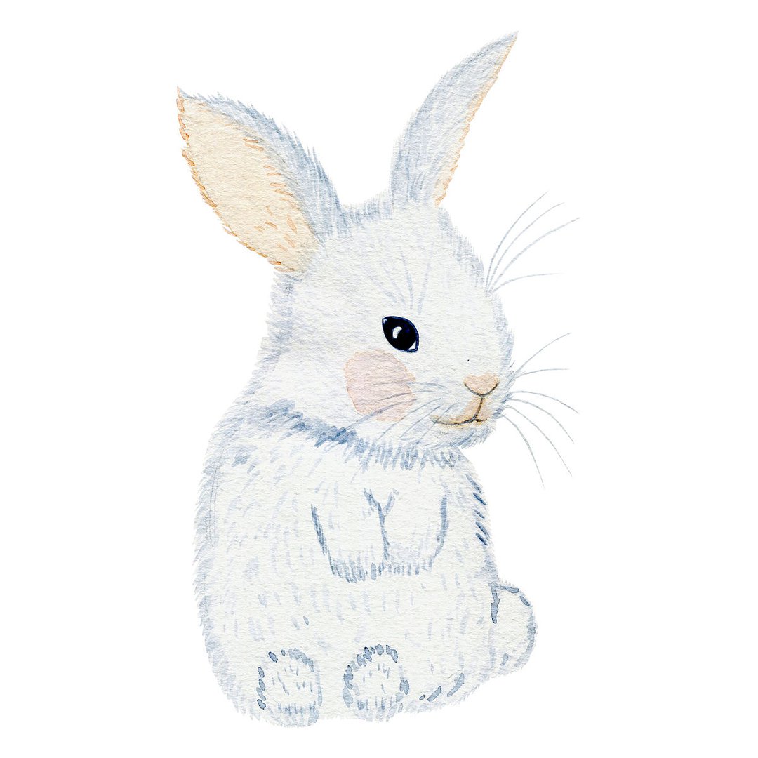 目光如豆是指代表什么生肖