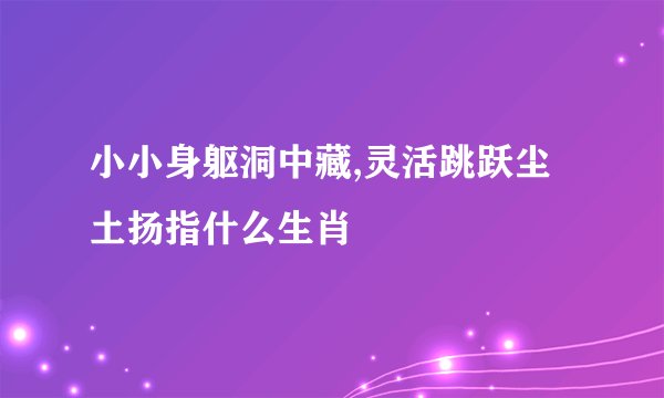 小小身躯洞中藏,灵活跳跃尘土扬指什么生肖