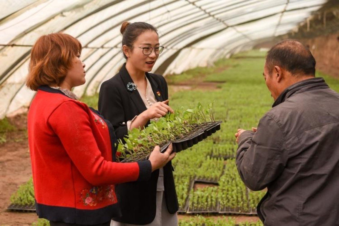 大学生当村官需要满足什么条件
