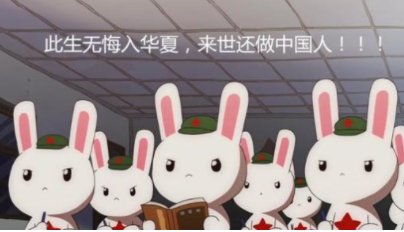 今生不悔入华夏下一句是什么？