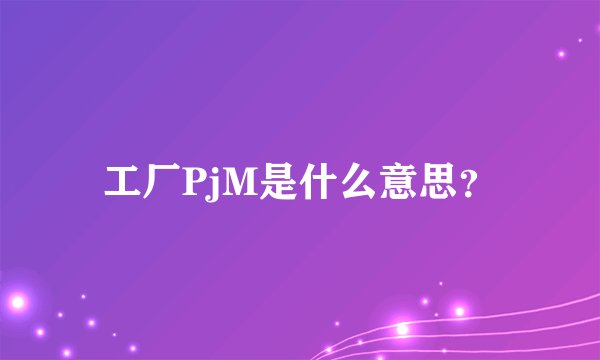 工厂PjM是什么意思？