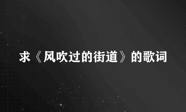 求《风吹过的街道》的歌词