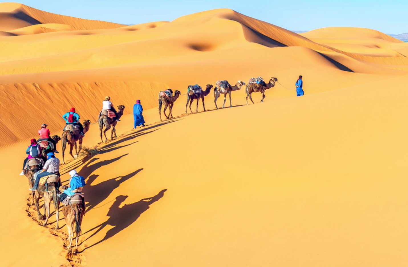 撒哈拉沙漠是世界上最大的沙漠面积大约是906万什么