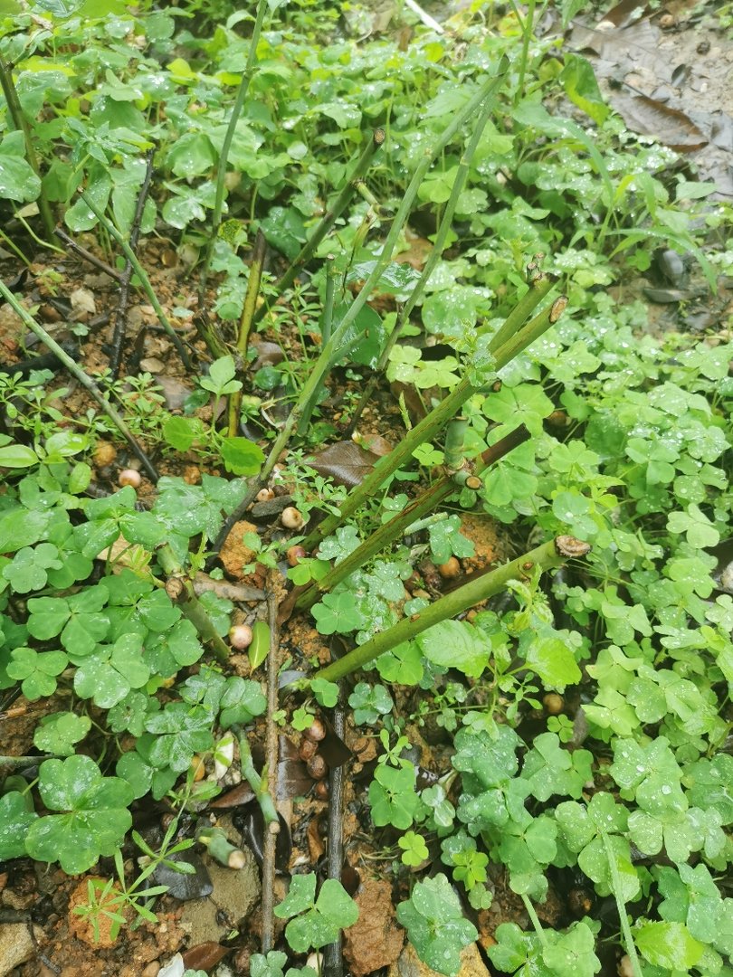 一个男生和女生在前面走着，我在他俩后面，那个女生还回头看我是什么意思？？我是男生