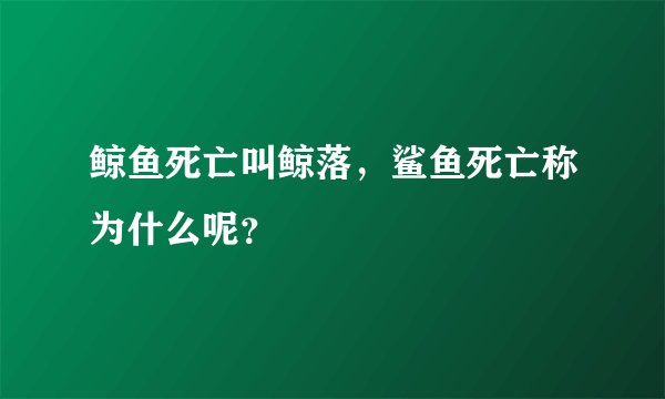 鲸鱼死亡叫鲸落，鲨鱼死亡称为什么呢？
