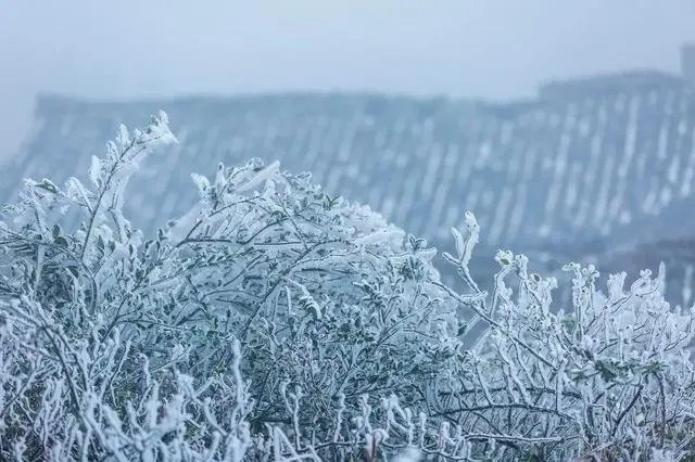 全国多地已悄然降下第一场雪，今年的雪为何会来的这么早？
