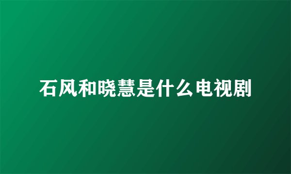 石风和晓慧是什么电视剧