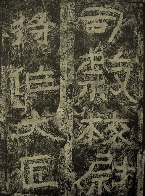 杨淮的人物简介