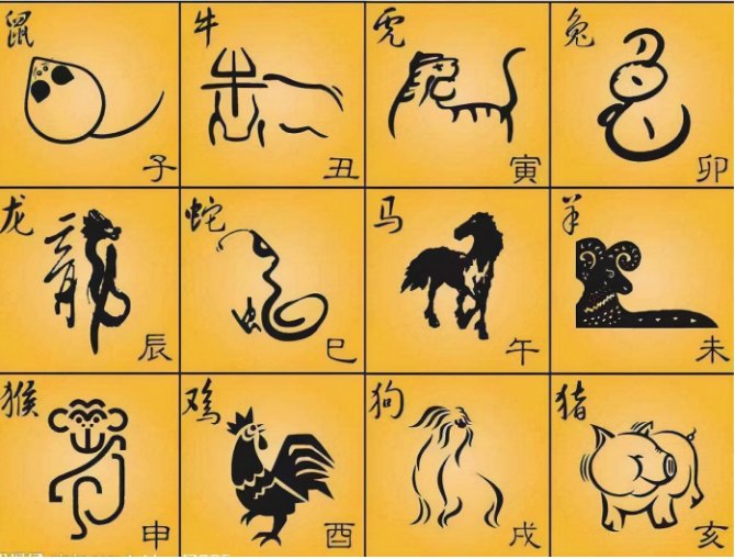 斩妖除魔僵尸跳打一生肖