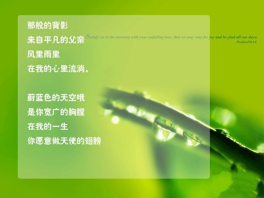 沉默的荣誉的介绍