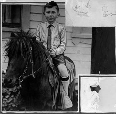 《大人物拿破仑》的故事来自哪里？