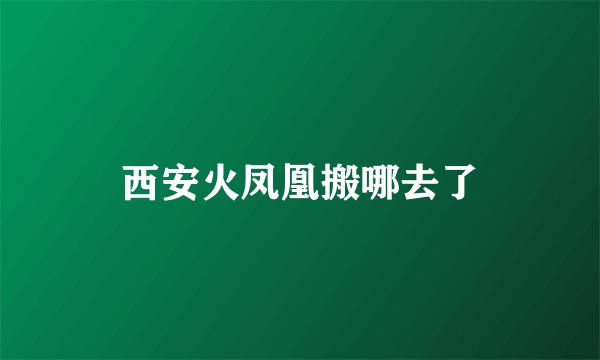 西安火凤凰搬哪去了