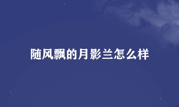 随风飘的月影兰怎么样