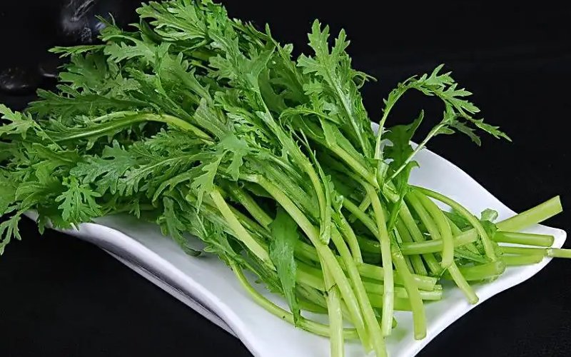 食物不咸不代表没盐蚂蚁庄园