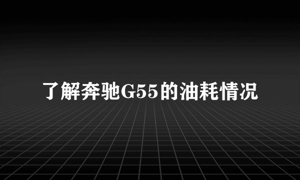 了解奔驰G55的油耗情况