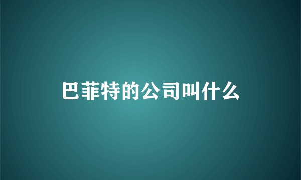 巴菲特的公司叫什么