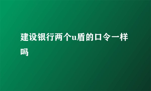 建设银行两个u盾的口令一样吗