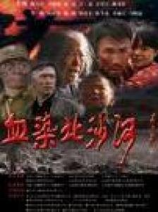 血染北沙河的介绍